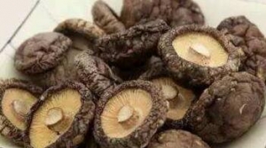 香菇價格行情為何波動大？菇農和批發(fā)商都值得了解